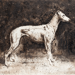 galleriad artecontini enzo fiore zoology greyhound 2010