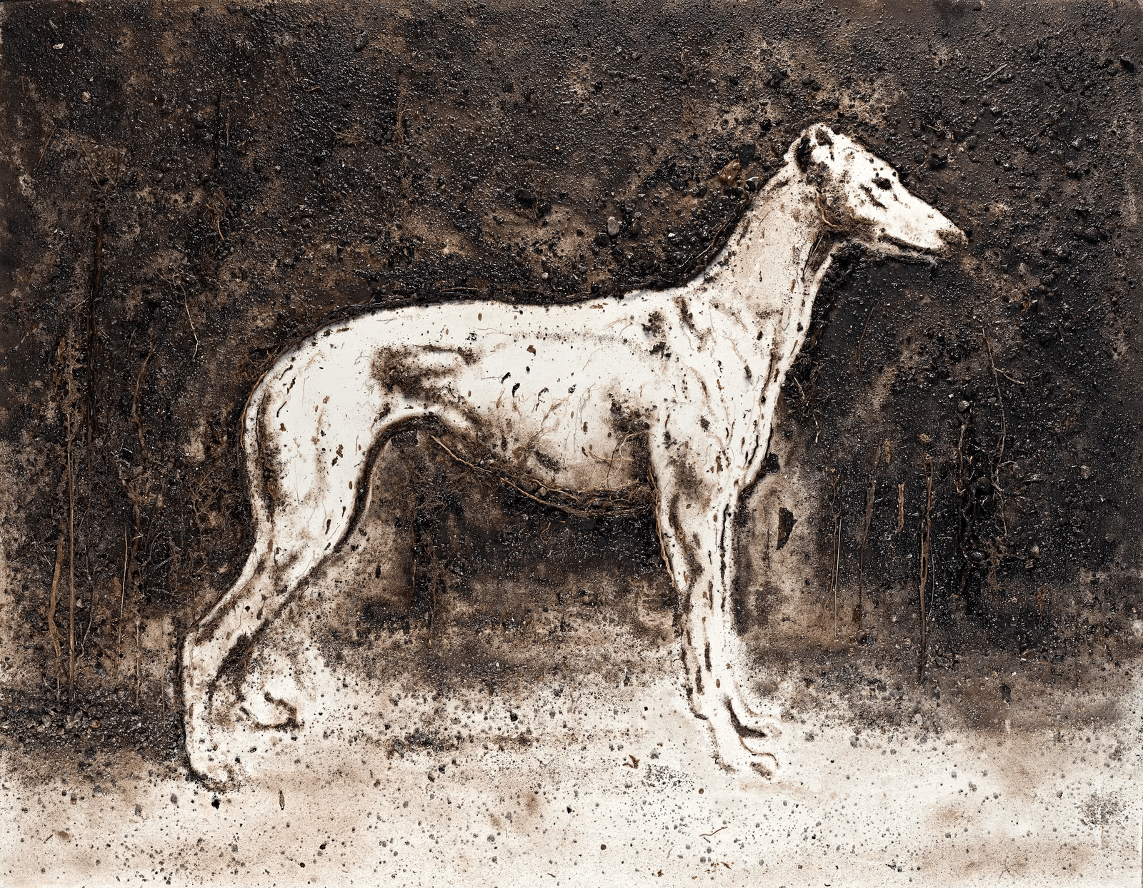 galleriad artecontini enzo fiore zoology greyhound 2010