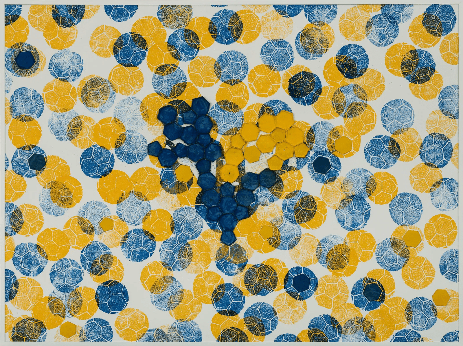 galleriad artecontini marco adamo omaggio al verona calcio 2024
